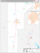 Jim Wells County, TX Digital Map Premium Style